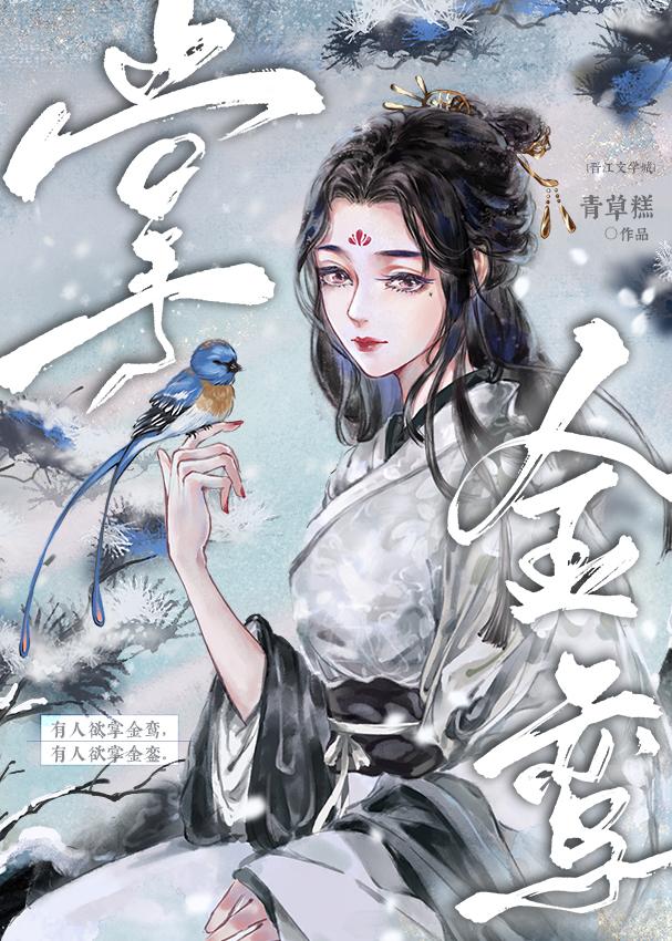 掌金鸾男主爱女主吗
