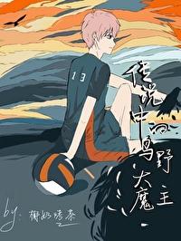 乌野拿到全国冠军了吗