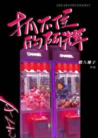 抓不住的阿辉讲的什么