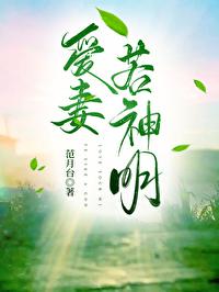 爱妻若神明免费全文