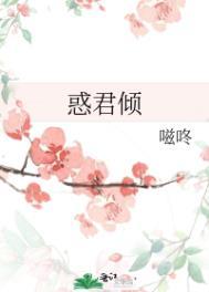 惑君倾 TXT