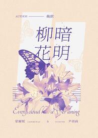 柳暗花明的全部