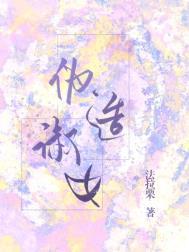 伪造淑女讲的什么内容