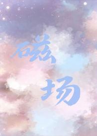 磁场的英文