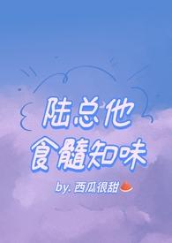 陆总他食髓知味免费阅读作者西瓜很甜著