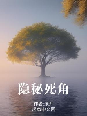 隐秘死角精校无错字