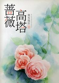 蔷薇高塔笔趣阁