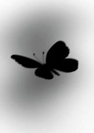 伏流拼音怎么读