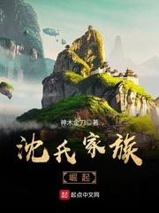 沈氏家族崛起后续