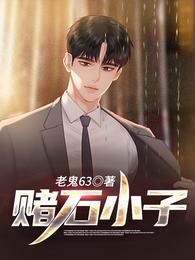 赌石小子TXT全集免费