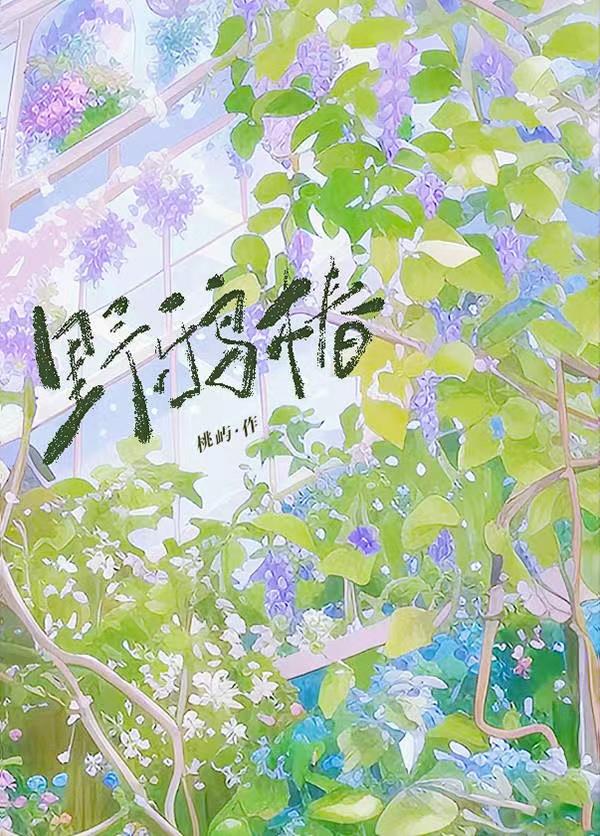 野鸦椿图片与功效