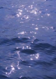 别吵了什么意思