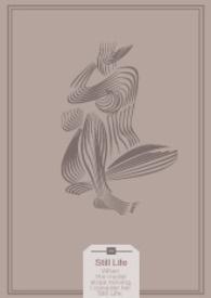 静物摄影是指什么