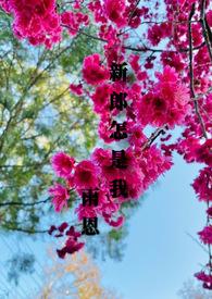 歌词新郎不是我是什么歌