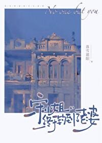 宋小姐终于钓到老婆了免费阅读无弹窗