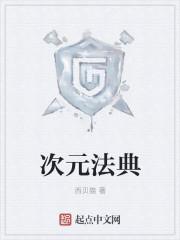 次元法典经历的世界