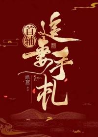 首辅夫人追夫手札