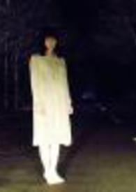 胆颤心惊打一正确生肖