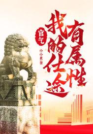 官路我的官样年华