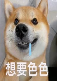 当她的狗by野猪佩奇txt