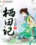 栖田记简介