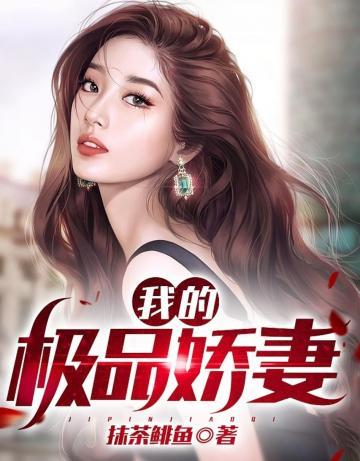 我的极品娇妻与职场女神美母