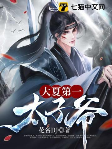 大夏皇太子