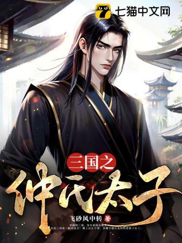 三国之仲家天子txt