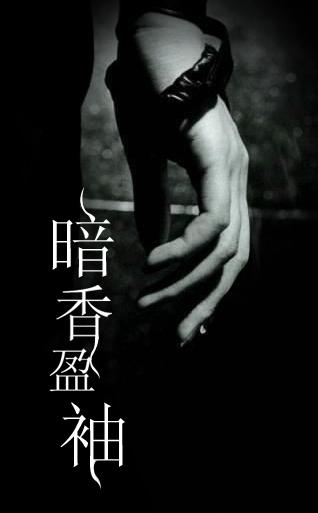 暗香盈袖适合什么人