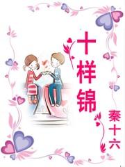 十样锦布料