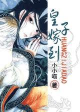 皇子嫁到(女尊)小小喵