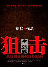 狙击生死线BD