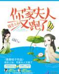 报告夫人又逃婚了免费阅读