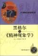 精神现象学图片
