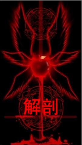 解剖学方位术语