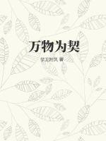 万物为契短剧免费观看全集高清版