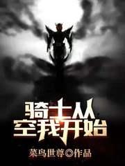 骑士从空我开始TXT