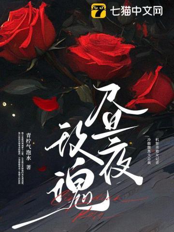 昼夜玫瑰免费阅读