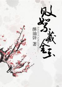 败絮藏金玉肉在第几章