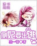 侧妃宠文