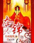 夺锦楼故事梗概详细