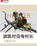 波凯村的村长是谁