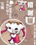 招财猫康康