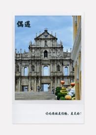 偶遇黑狗跟着人走是福还是祸呢