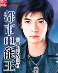 电能王电池