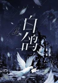 白鸽txt