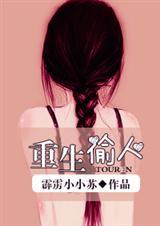 重生偷人霹雳小小苏结局