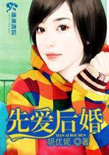 惹高枝与体制大佬先爱后婚