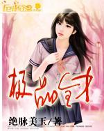 极品全才神婿大结局