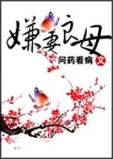 嫌妻良母的意思